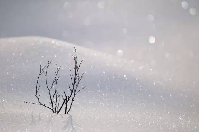 造雪机